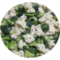 VENDA DE VENDA INTEIRA VEGES FROZENOS BLEND IQF WINTRING BLEND BROCCOLIO FROZENO E CAULIFLOWER